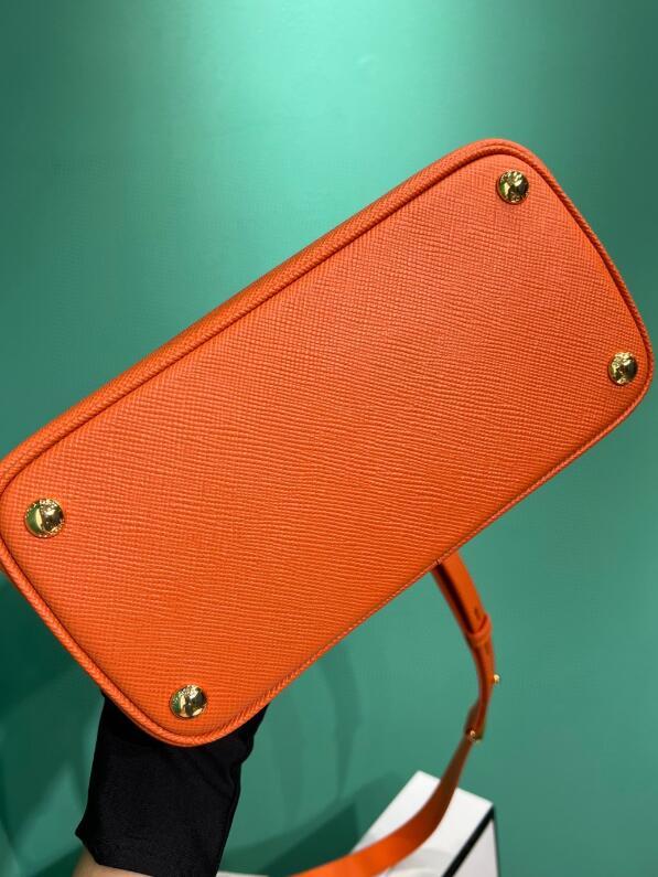 Ozarra Luxury - PD Bags - 065