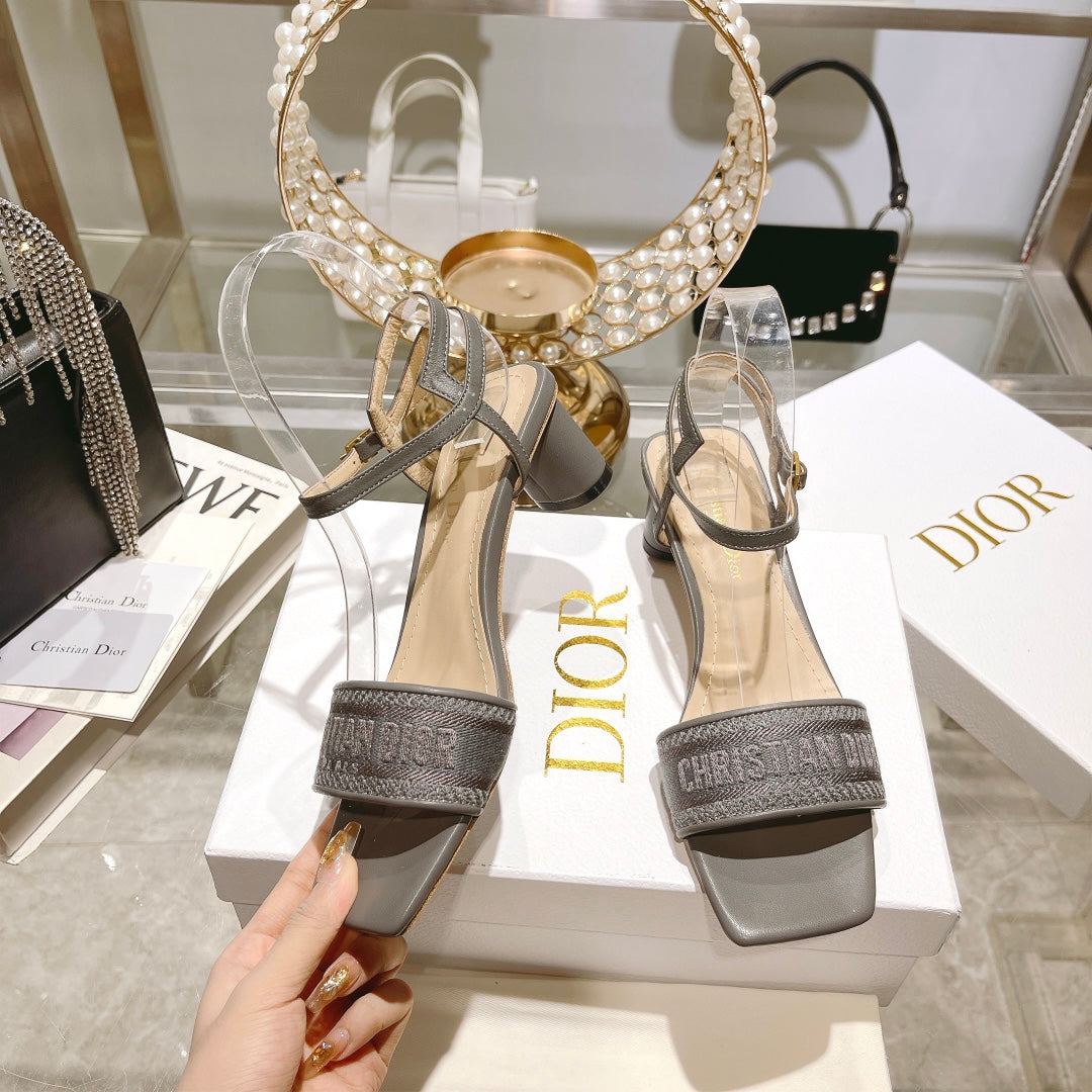 Luxury Shoes - DIR - 095