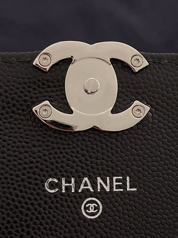 BAB - CHL Bags - 3213