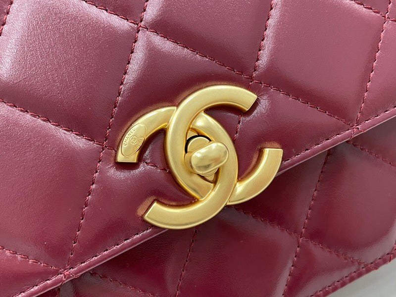 Ozarra - CHL Bags - 598