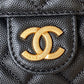 Ozarra - CHL Bags - 7564