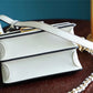 Ozarra Fashion Lu-Vi bags - 8122