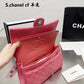 Ozarra - CHL Bags - 7283