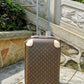 Ozarra Fashion Lu-Vi bags - 11385
