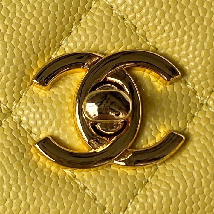 Ozarra - CHL Bags - 7568