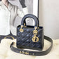 OZ - Dir Bags - 897
