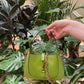 Ozarra - GUKI Women Bags - 930