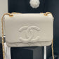 Ozarra - CHL Bags - 7387