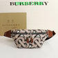 Ozarra Fashion -BBR Bags - 625