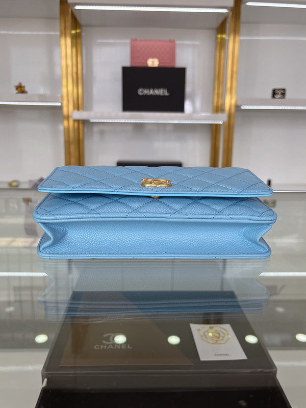 BAB - CHL Bags - 3187