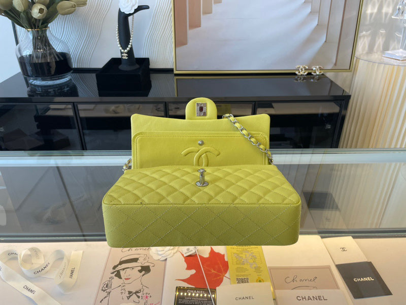 Ozarra - CHL Bags - 6691