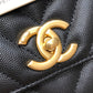 Ozarra - CHL Bags - 6725