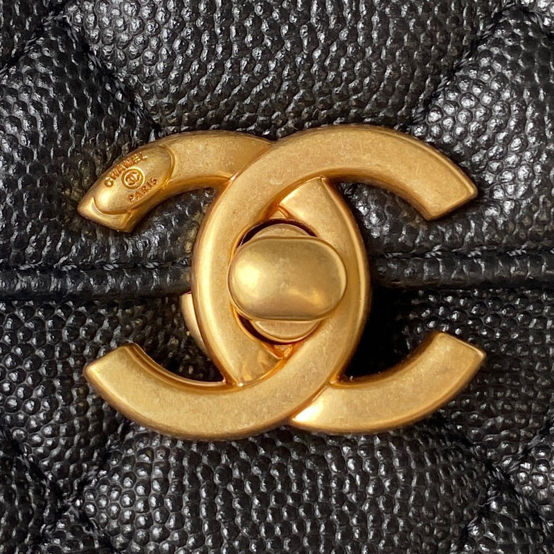 Ozarra - CHL Bags - 7509