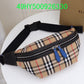 Ozarra Fashion -BBR Bags - 646