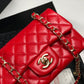 Ozarra - CHL Bags - 7454