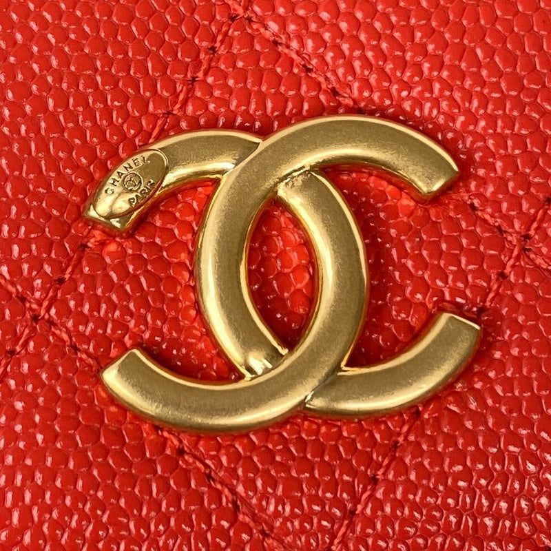 Ozarra - CHL Lady Bags - 179