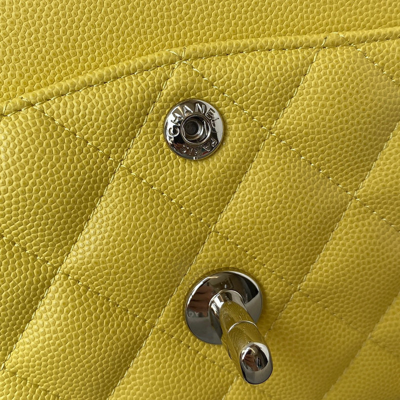 Ozarra - CHL Bags - 6662