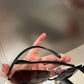 OZ - Dir Sunglasses - 025