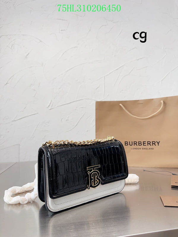 Ozarra Fashion -BBR Bags - 208