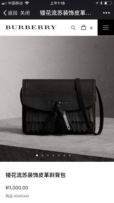 Ozarra Fashion -BBR Bags - 1156