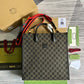 Ozarra - GCI Bags - 4511