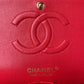 Ozarra - CHL Bags - 6686