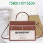 Ozarra Fashion -BBR Bags - 734