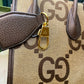 Ozarra - GCI Bags - 1922