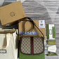 Ozarra - GCI Bags - 4658
