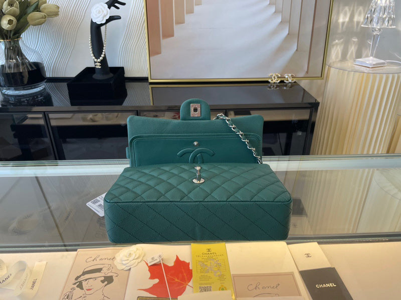 Ozarra - CHL Bags - 6698
