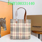 Ozarra Fashion -BBR Bags - 584