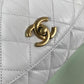 Ozarra - CHL Bags - 6353