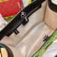Ozarra - GCI Bags - 2118