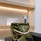 Ozarra - CHL Bags - 7172