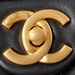 Ozarra - CHL Bags - 7656
