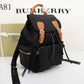 Ozarra Fashion -BBR Bags - 756