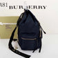Ozarra Fashion -BBR Bags - 809