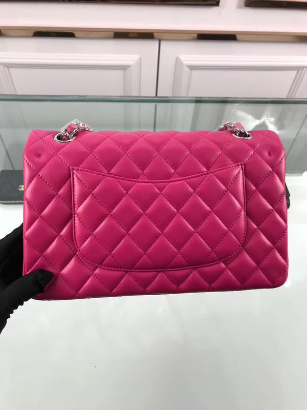 Ozarra - CHL Bags - 6672