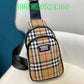 Ozarra Fashion -BBR Bags - 299