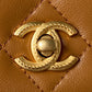 Ozarra - CHL Bags - 7519