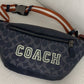 Ozarra - CAH Bags - 613