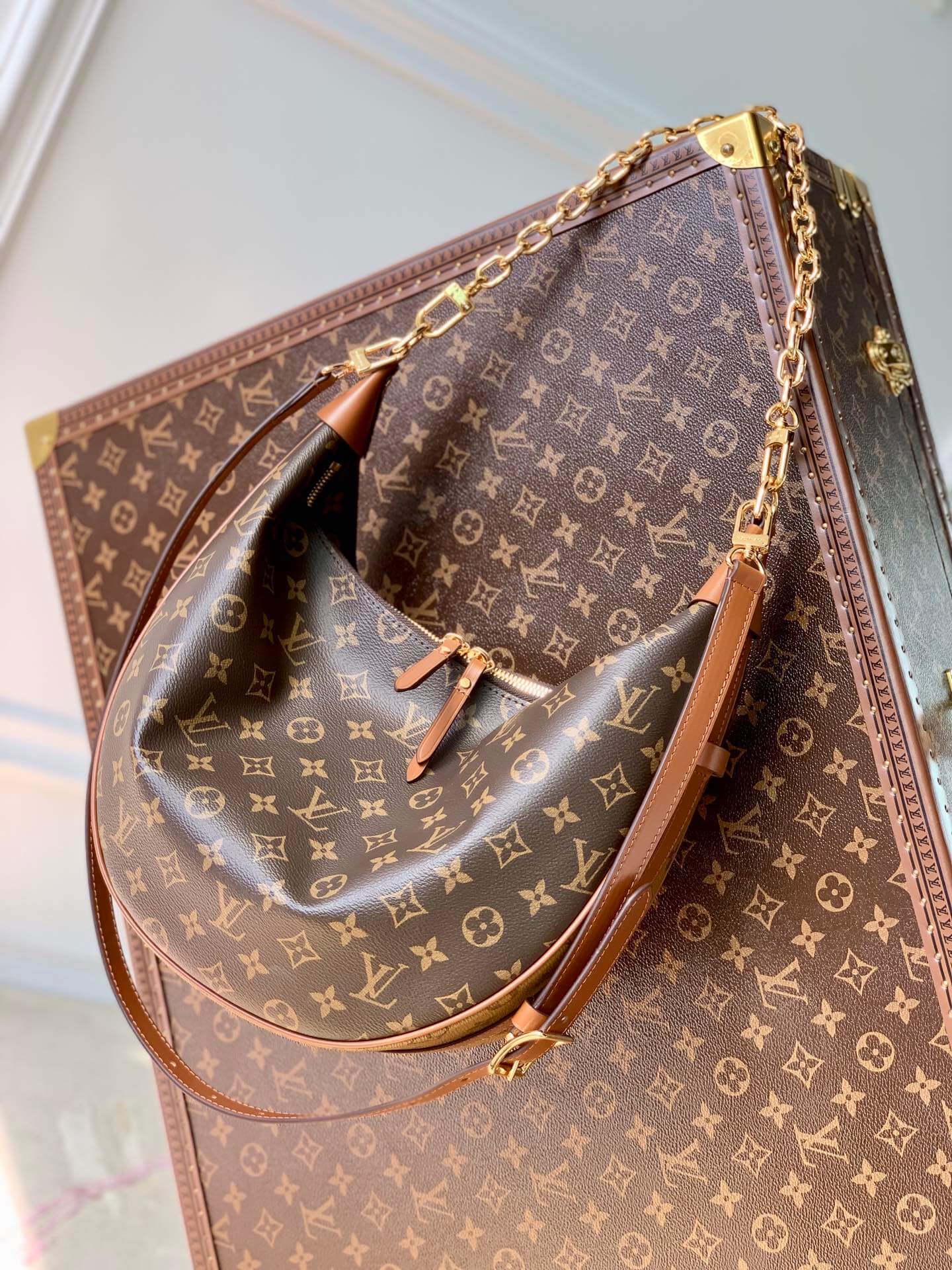 M46311 Loop Hobo marel brown monogram shoulder bag cross body bags