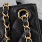 BAB - CHL Bags - 3196