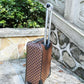 Ozarra Fashion Lu-Vi bags - 11388
