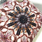 Ozarra - DOR Bags - 1083