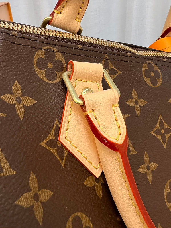 Ozarra Fashion Lu-Vi Bags - 16779
