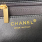 Ozarra - CHL Bags - 7367