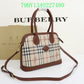 Ozarra Fashion -BBR Bags - 174