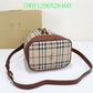 Ozarra Fashion -BBR Bags - 546