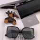 OZ - Dir Sunglasses - 113
